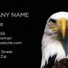 Business Card Template: Patriotic - 52
*Fonts, Text Color, Text size and information can be changed for your business at little to no charge.