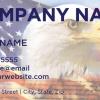 Business Card Template: Patriotic - 55
*Fonts, Text Color, Text size and information can be changed for your business at little to no charge.