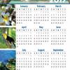 4" x 9" Magnet Calendar #7
Tropical 