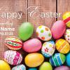 #507 - Easter
This postcard design is 
available in a 4”x6” Layout - See Below