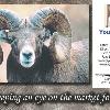 #9 Ram Custom

Offered as
Jumbo 8½” x 5½”
Regular 4” x 6”
and Panoramic 6” x 11”