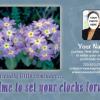 #341 Spring Forward Time Change
Regular 4" x 6" and
Jumbo 8½" x 5½"