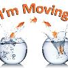 #386
Jumbo 8½" x 5½"
Can be "I'm Moving" or "We're Moving"