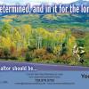 #96 Biking Colorado
"Fast & Determined-2"

Offered as
Jumbo 8½” x 5½” ONLY

Biking Colorado postcards (20, 96 & 528) have same back - 
